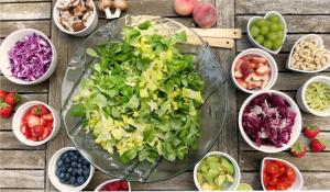 Estudo Experimental dos Alimentos